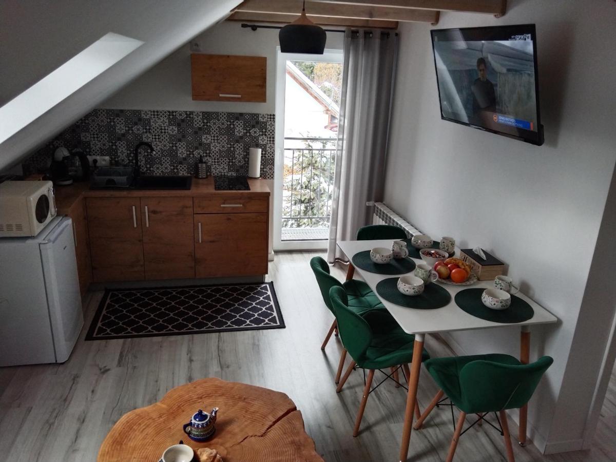 Apartamenty Rownia 2 Ustrzyki Dolne Buitenkant foto